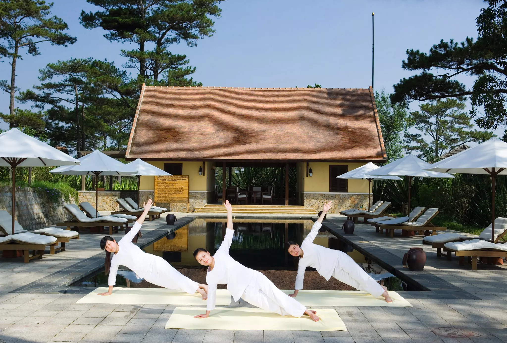 Một Khoảnh khắc tĩnh lặng giữa Thiên nhiên