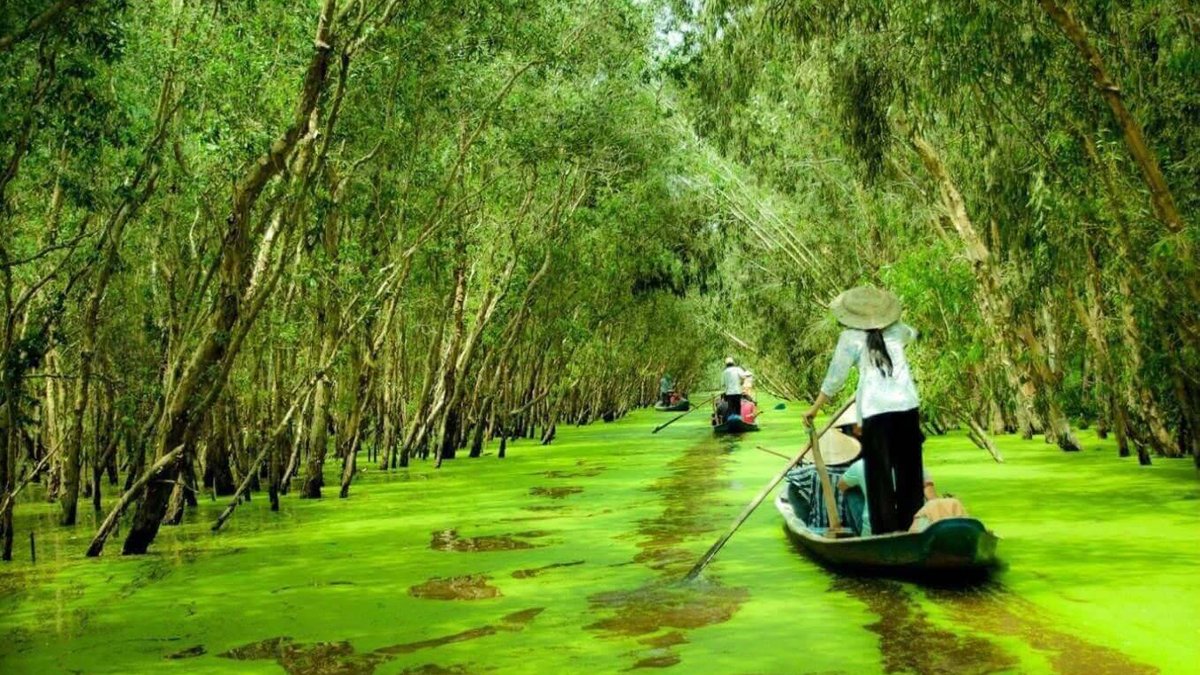 Rừng Tràm Châu Đốc nhìn từ trên cao, Xuồng len lỏi giữa Rừng
